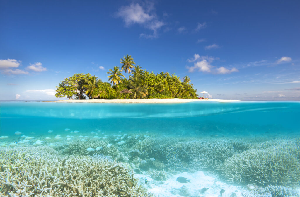 maldives-in-one-picture