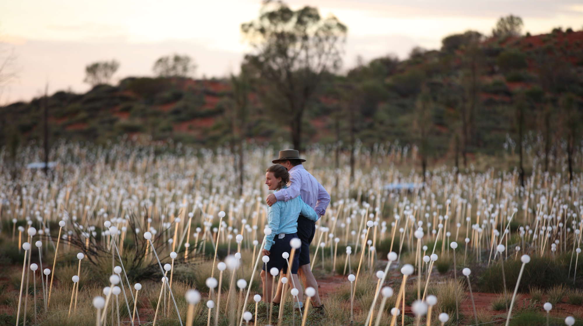 field-of-light-uluru-pre-sunset