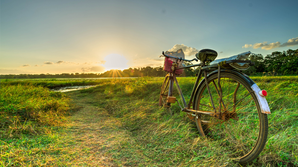 cycling-in-ulagalla