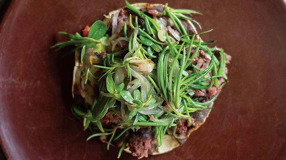 Alfonsiana, Oaxaca, Mexico | Image credit: Claudio Castro