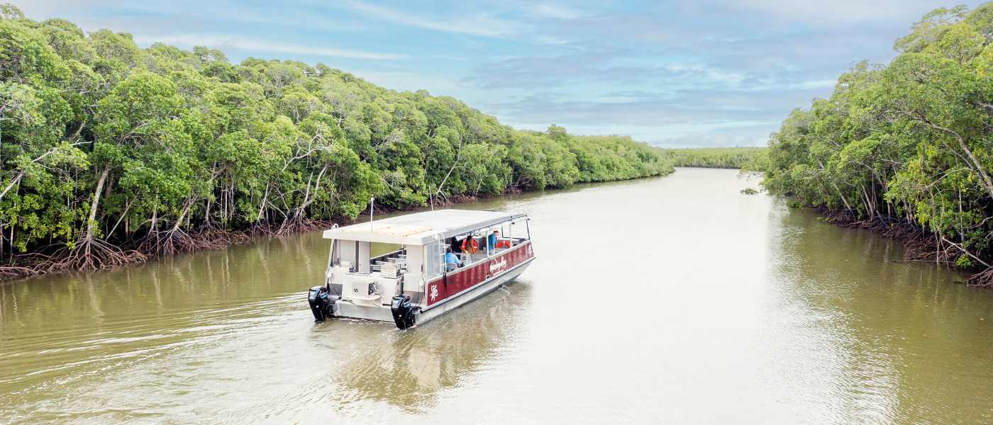 Mandingalbay Ancient Indigenous Tours