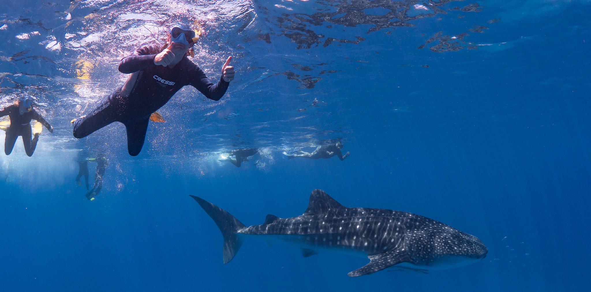 Southern Crossings UHNW