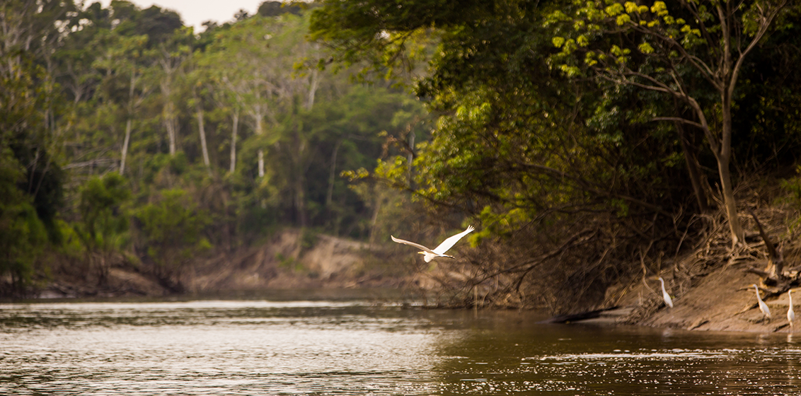 South America awareness