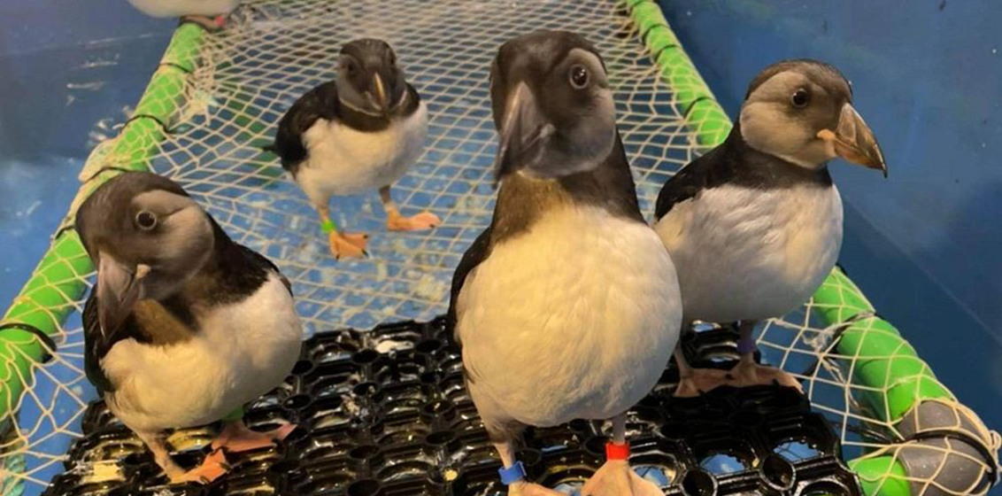 HX Foundation funding