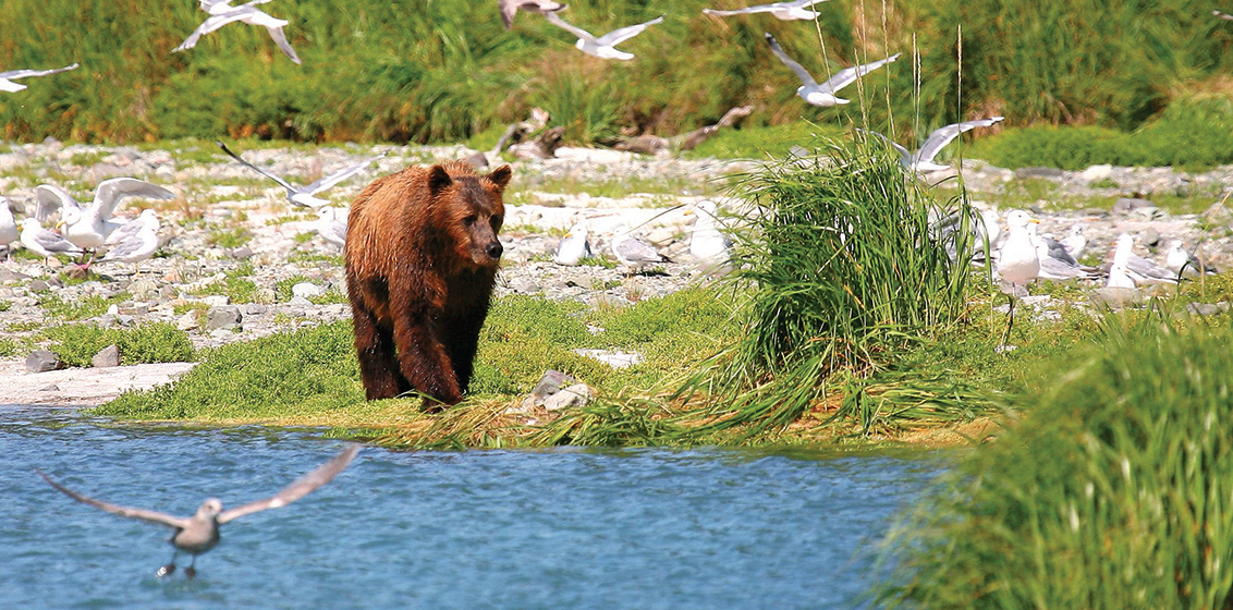 Hapag-Lloyd campaign