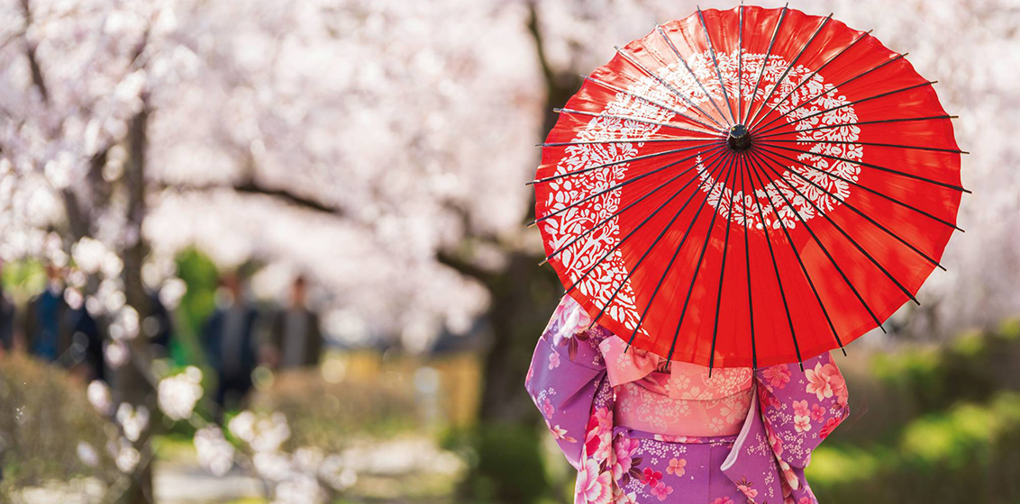 Hapag-Lloyd Black Friday